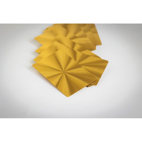 Cartes à jouer étanches