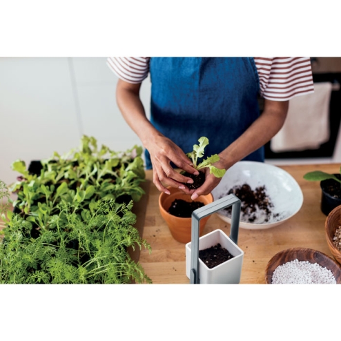 Indoor garden with LED light
