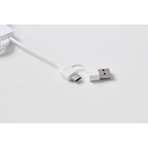 2 in 1 charging cable type-C