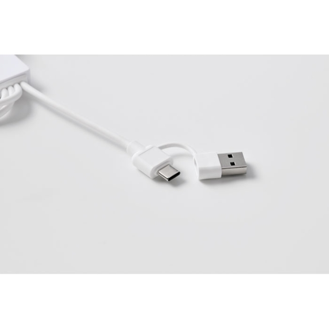 2 in 1 charging cable type-C