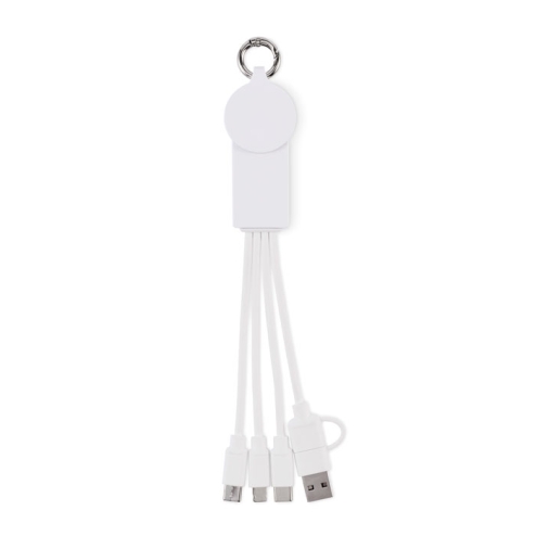 2 in 1 charging cable type-C