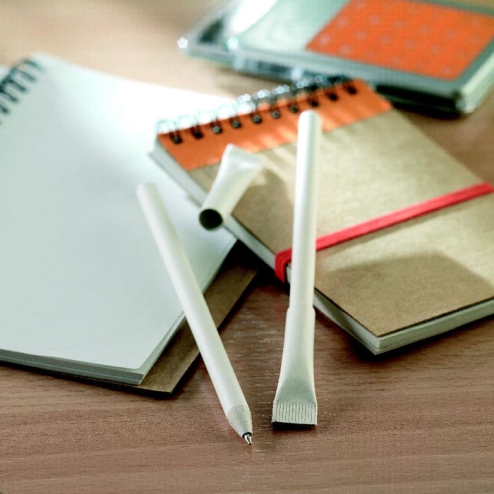 Stylo bille recyclé