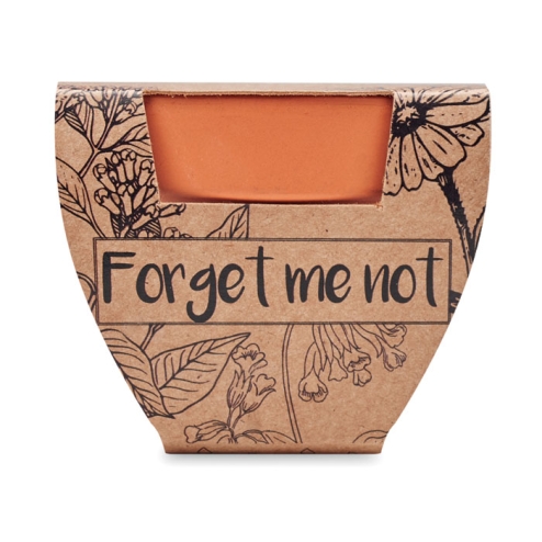 Terracotta pot 'forget me not'