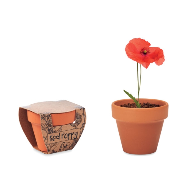 Pot graines de coquelicot