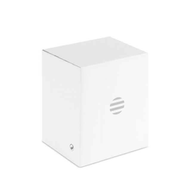 1080P HD webcam and ring light