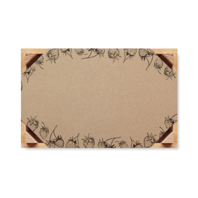 Graines de fraises dans une caisse