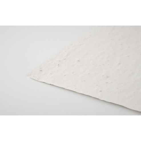 Papier A4 graines de fleurs