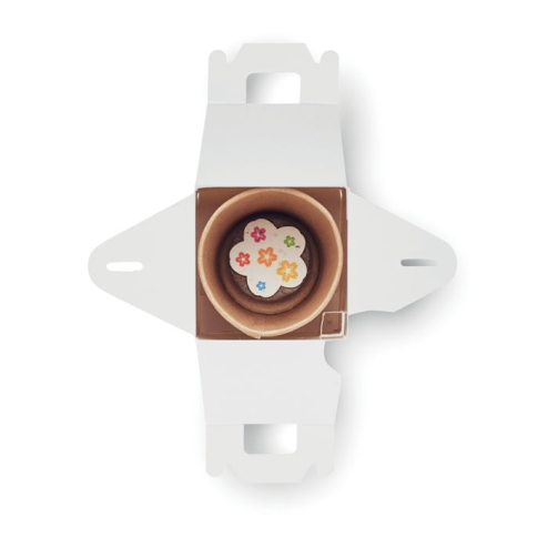 Set de culture de graines