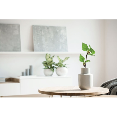 Carnet A5 GROWBOOK™