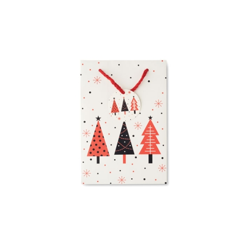 Sac cadeau petit format