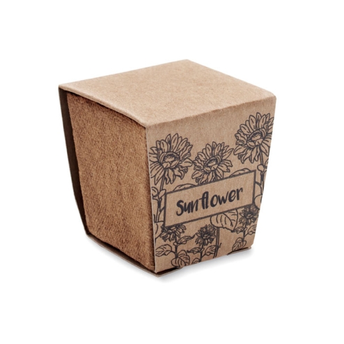 Sunflower growing kit